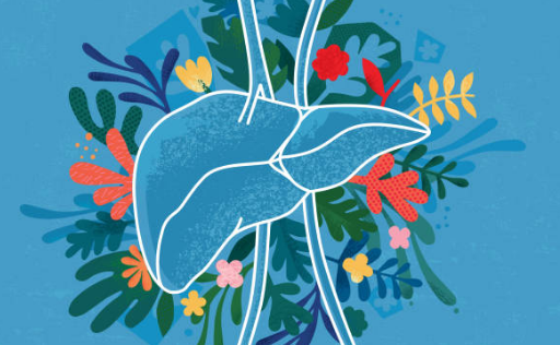 간수치가 높으면 나타나는 증상&amp;#44; 올라가는 이유&amp;#44; 간수치 정상범위 총정리 (2024ver)