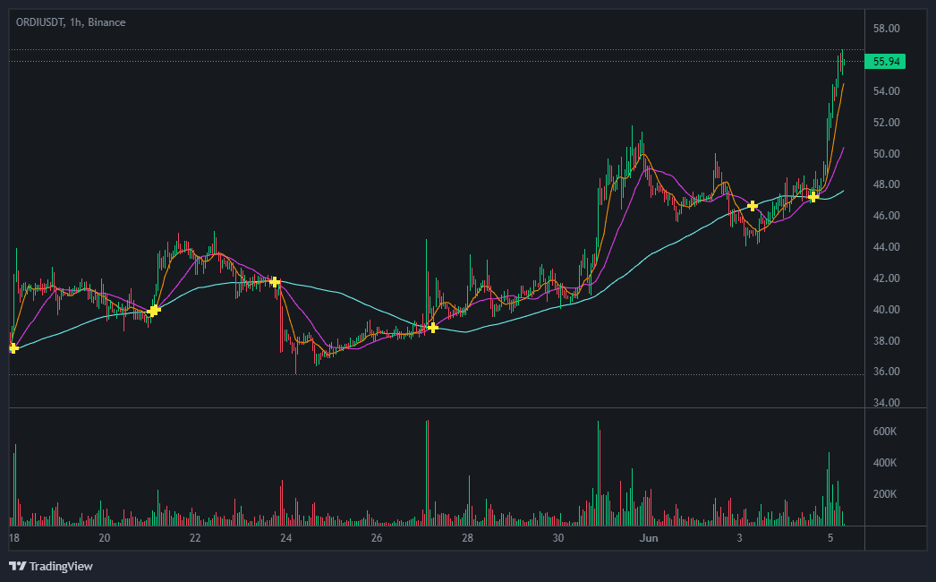 오디(ORDI) 코인 가격 현황