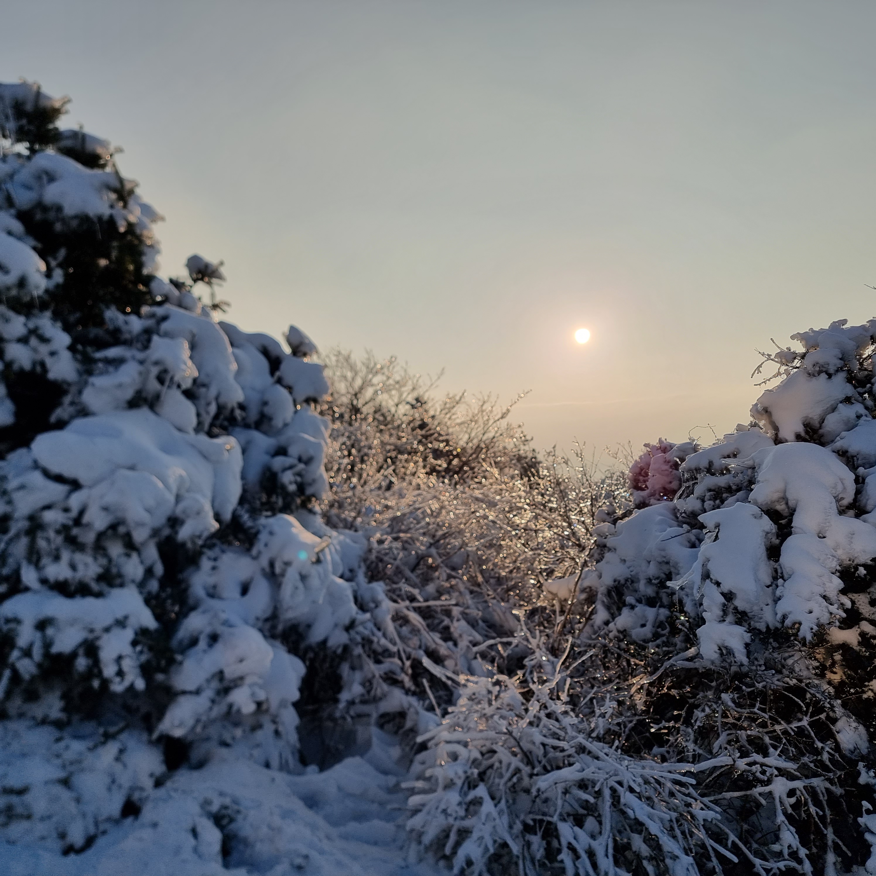 대설(大雪), 겨울의 진정한 시작을 알리는 날