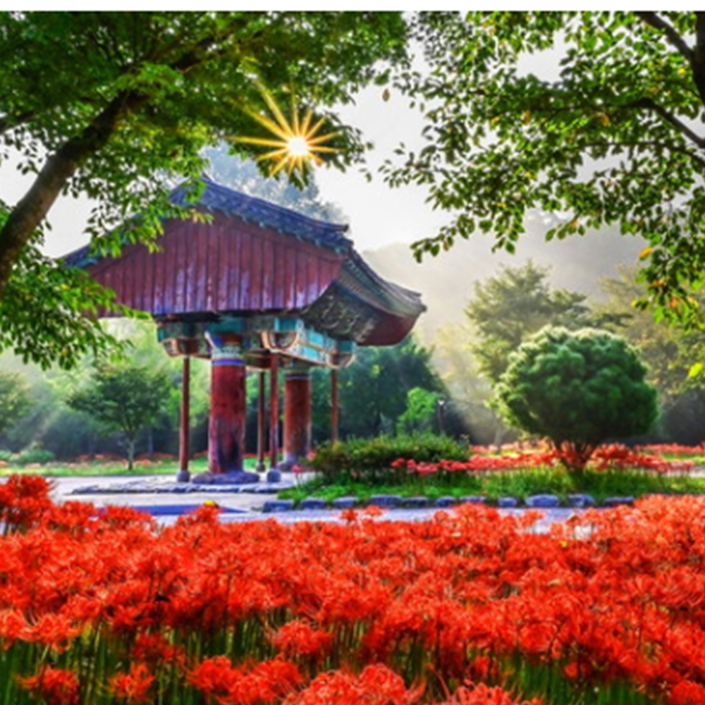 고창 선운사