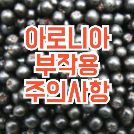 아로니아 부작용, 주의사항 꼭 알아야 합니다!