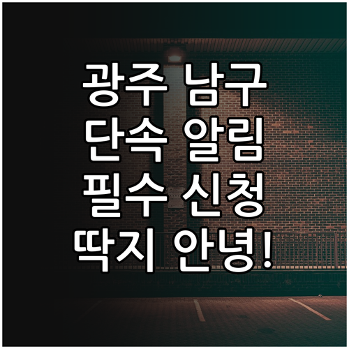 광주 남구 주정차 단속 문자 알림 신..