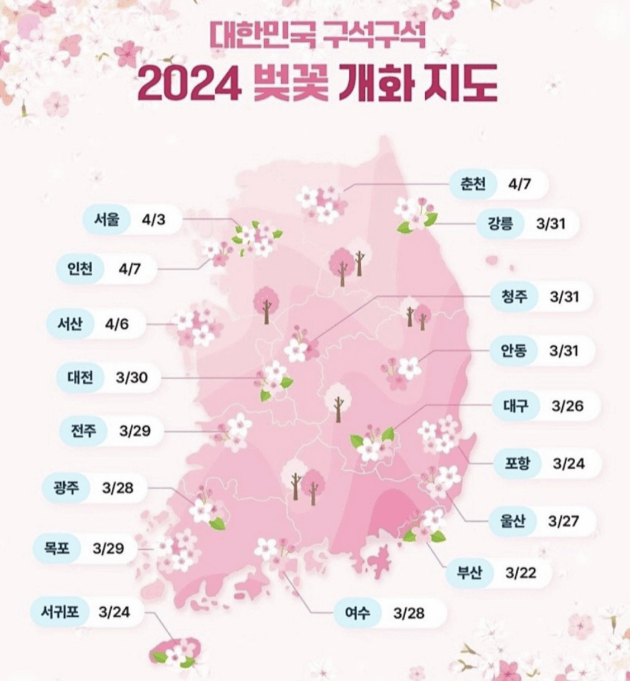 2024 벚꽃 개화시기