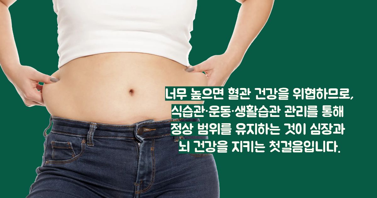 ldl콜레스테롤 정상수치