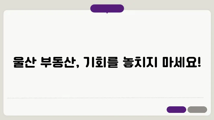 부동산 R114와 울산 시세 정보