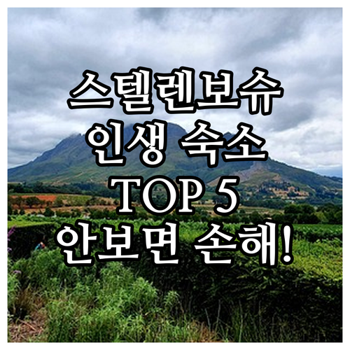 남아공 스텔렌보슈 숙소 추천 TOP ..