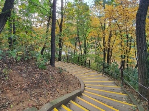 수원 영통 독침산 둘레길 산책코스