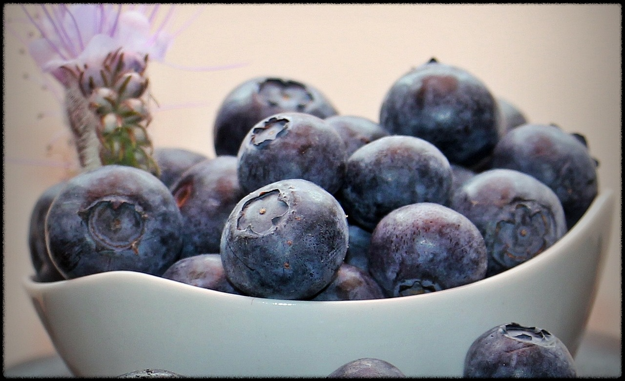 블루베리 효능 이미지_18