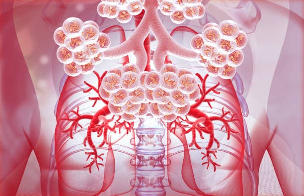 폐 내 가스분포 검사와 폐쇄용적, 폐확산능 검사