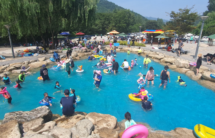 동해 무릉건강숲