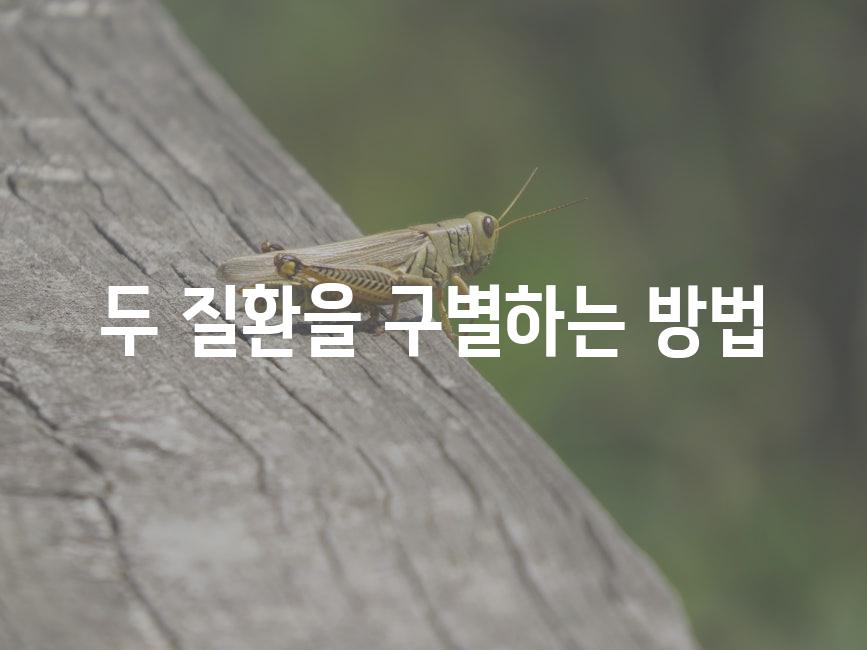 두 질환을 구별하는 방법