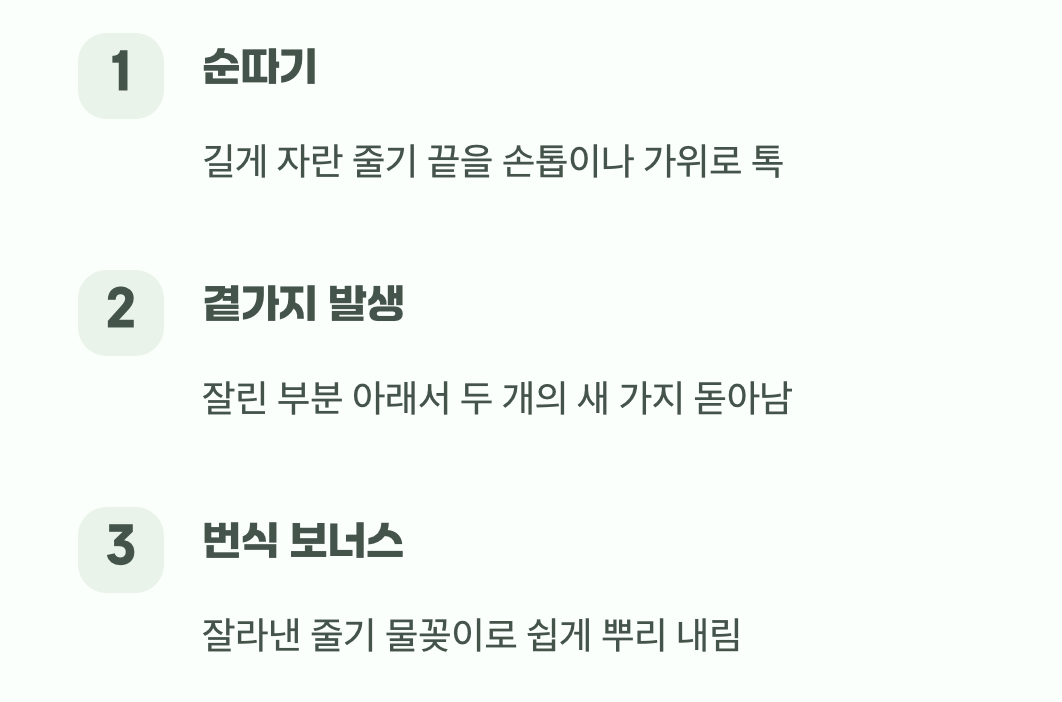 풍성한 꽃을 위한 작은 이발