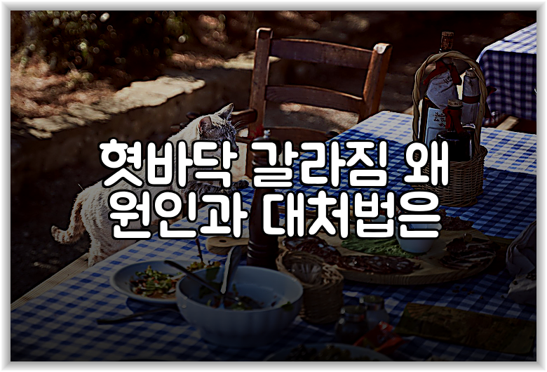 혓바닥 갈라짐 왜 원인과 대처법은