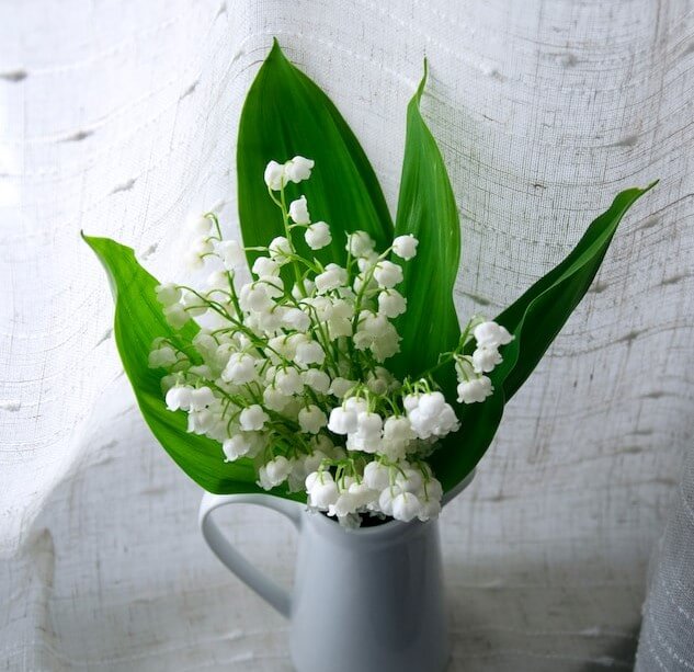 ์๋ฐฉ์ธ๊ฝ ํฌํ