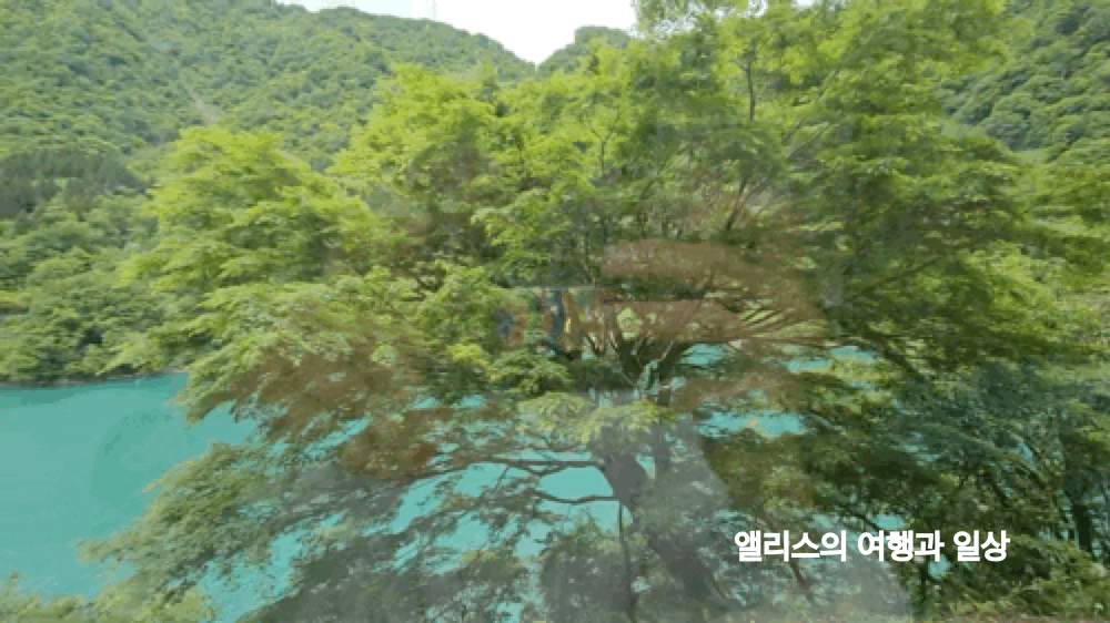 토롯코 구로베 협곡열차 가격 + 우나즈키 당일 온천 이용후기 도야마 자유여행