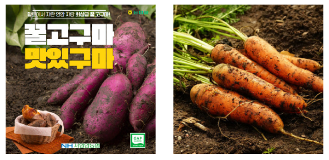 농산물바우처-지원사업-상품-이미지