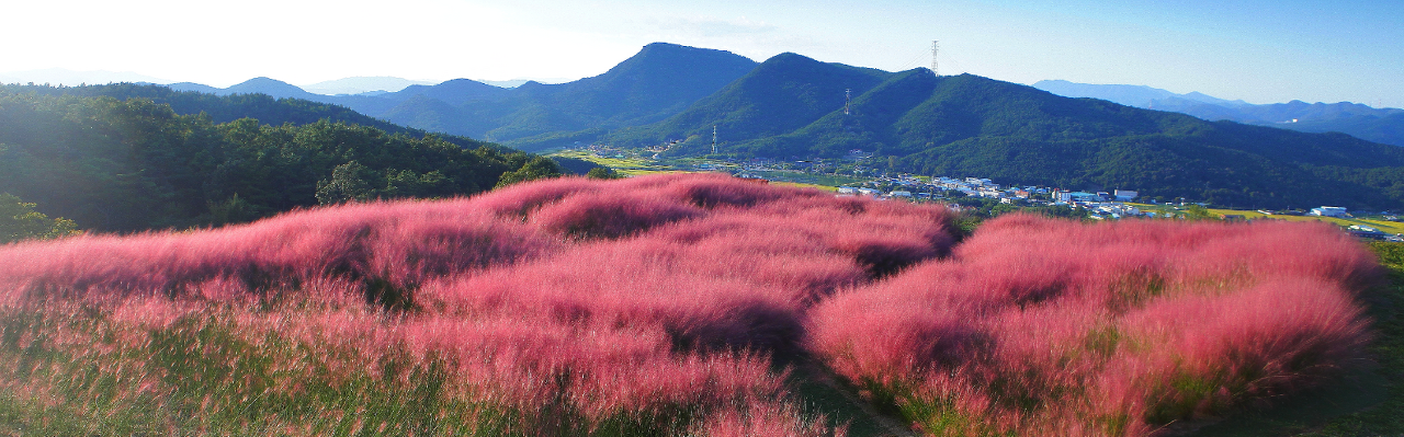 칠곡 가산수피아