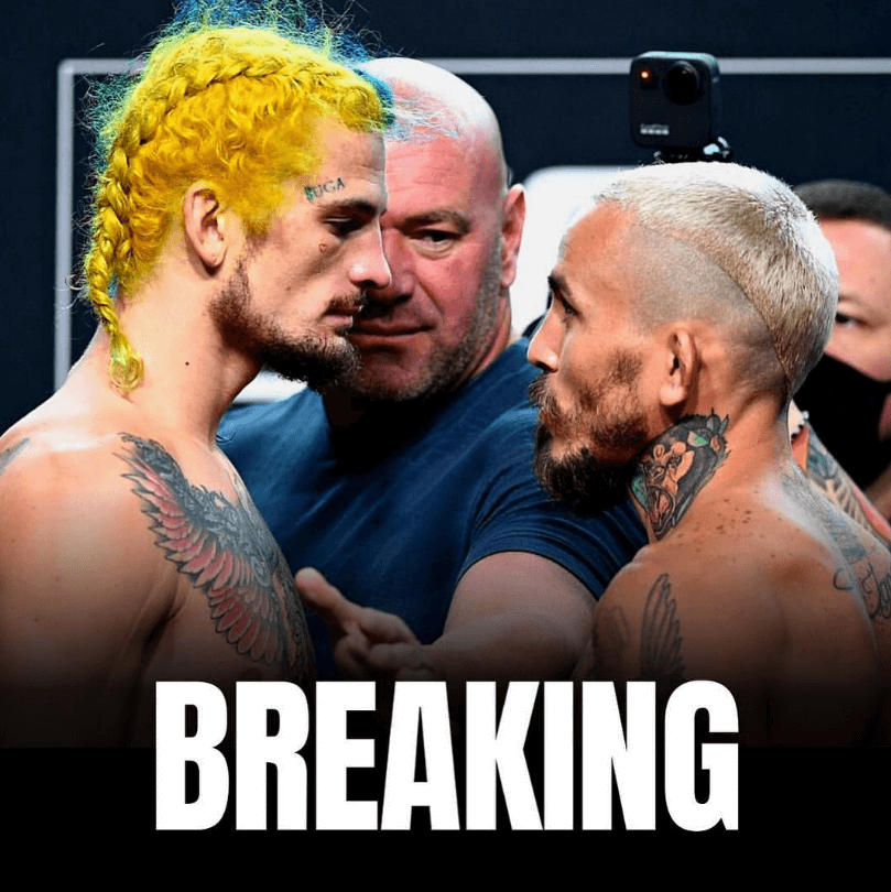 ufc 299 오말리 베라