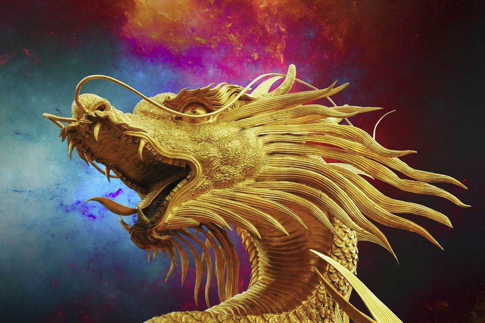 2026년 1월 용띠 운세 총정리