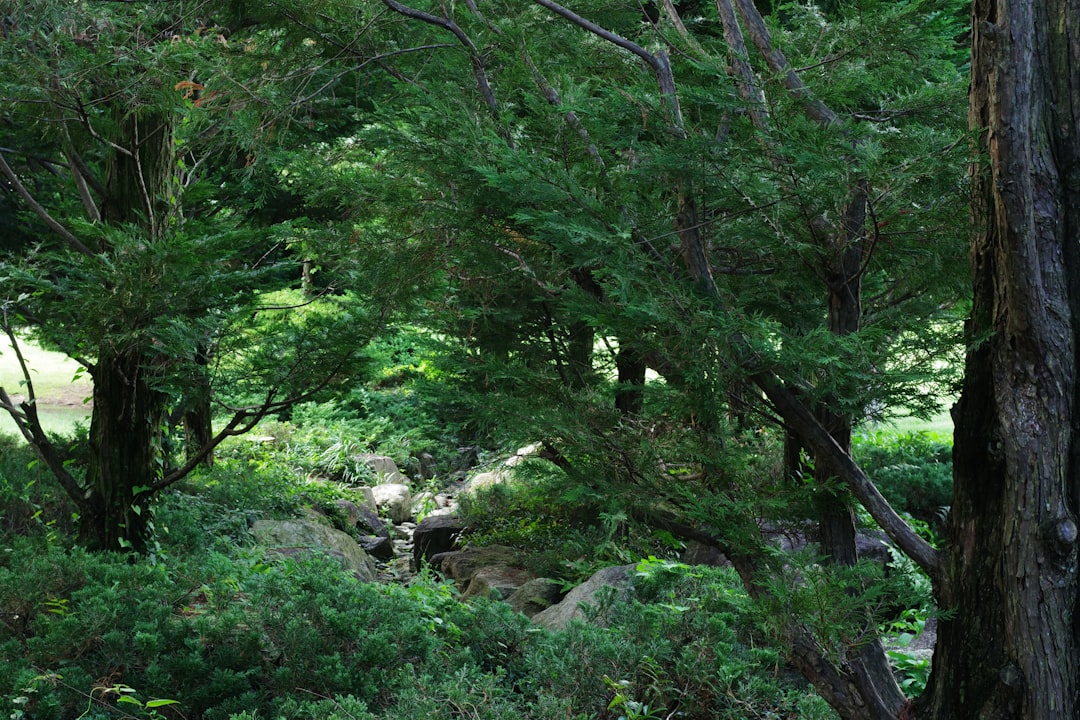 Seoul Forest