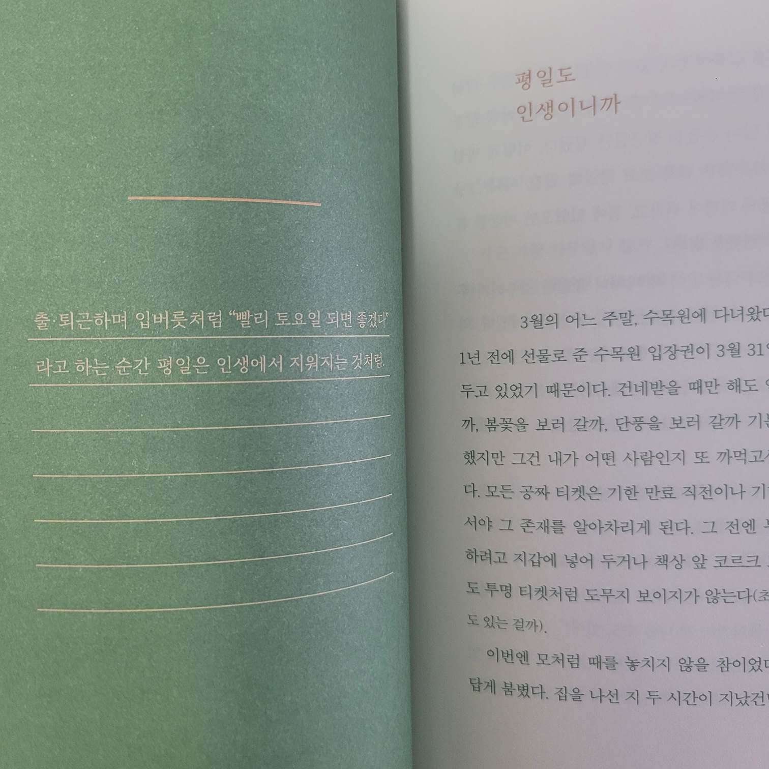 평일도 인생이니까 - 내용구성