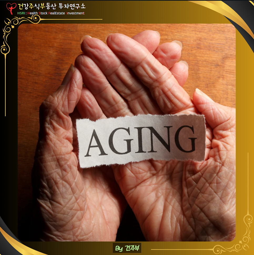 스페르미딘 : 세포 노화 방지 해결책
(글 그림 : 건주부, 그림 출처 : Canva)