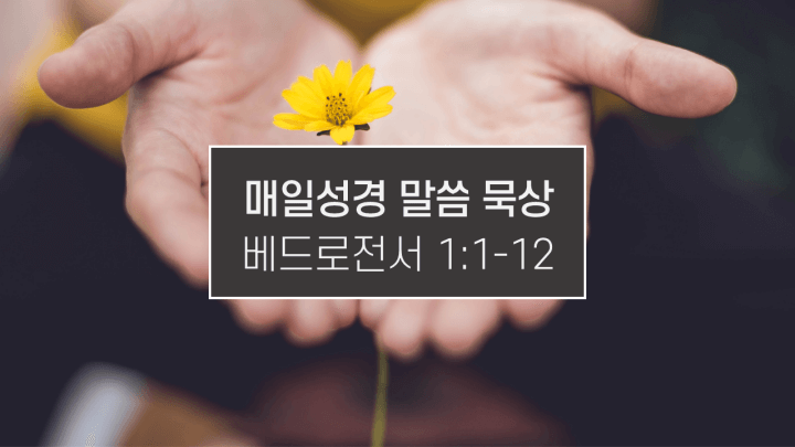 썸네일-손-사이에-끼인-노란꽃