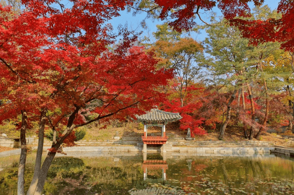 단풍구경-가볼만한-곳-창덕궁