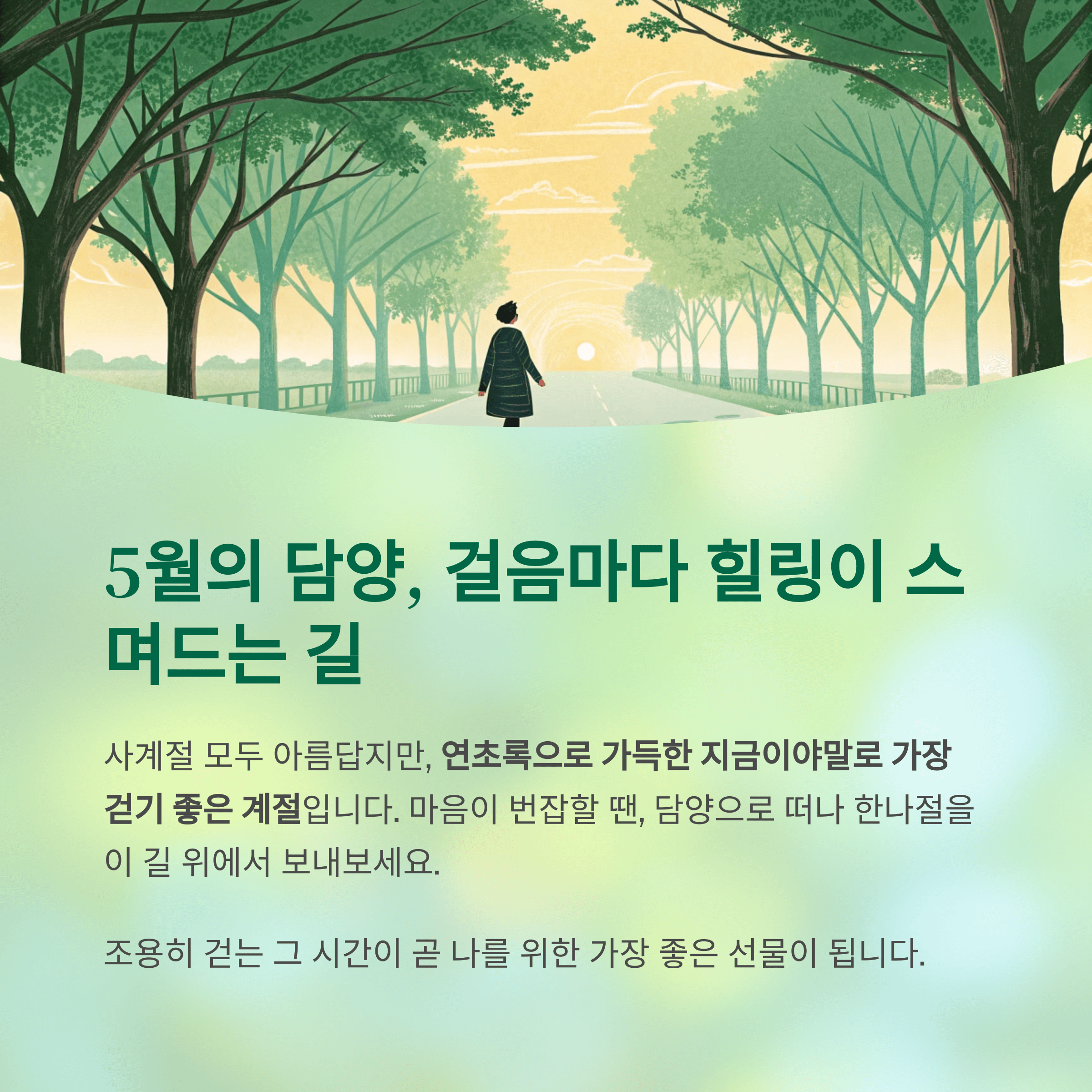 담양 메타세쿼이아길, 걷기 좋은 계절 지금이 찬스