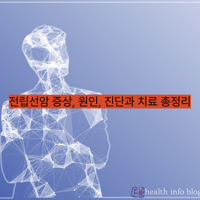 전립선암 증상, 원인, 진단과 치료 총정리|중년 남성이 꼭 알아야 할 정보