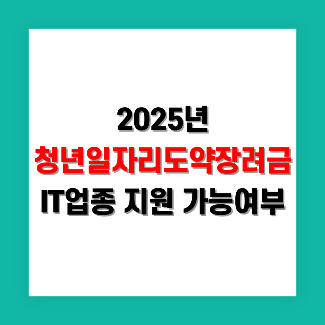 청년일자리도약장려금 IT업종 지원 가능여부