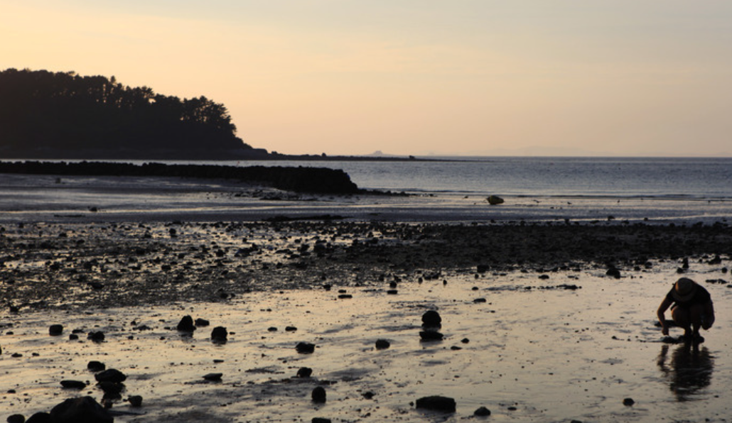 아이와 함께 서해안 바다 체험활동 여행 팁