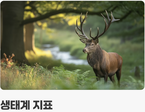 오직 1급수에서만 사는 까다로운 황제