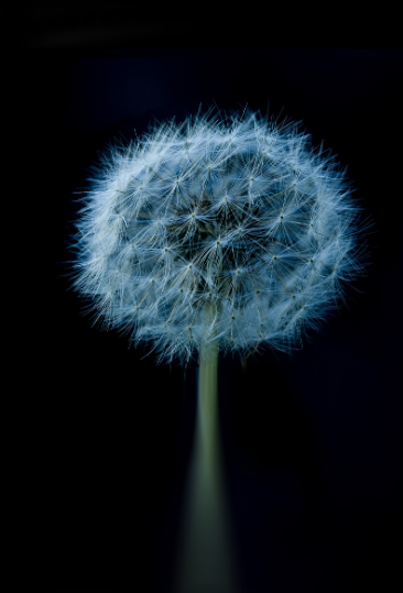 이별에 대한 느낌을 표현