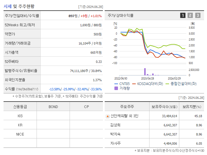 CNT85_기업개요