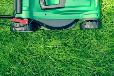 조경기능사에 대하여 알아보기