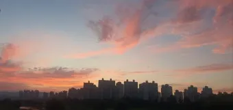 대전 은행동 역전 새벽시장하루가 가장 먼저 시작되는 따뜻한 풍경 기록_24