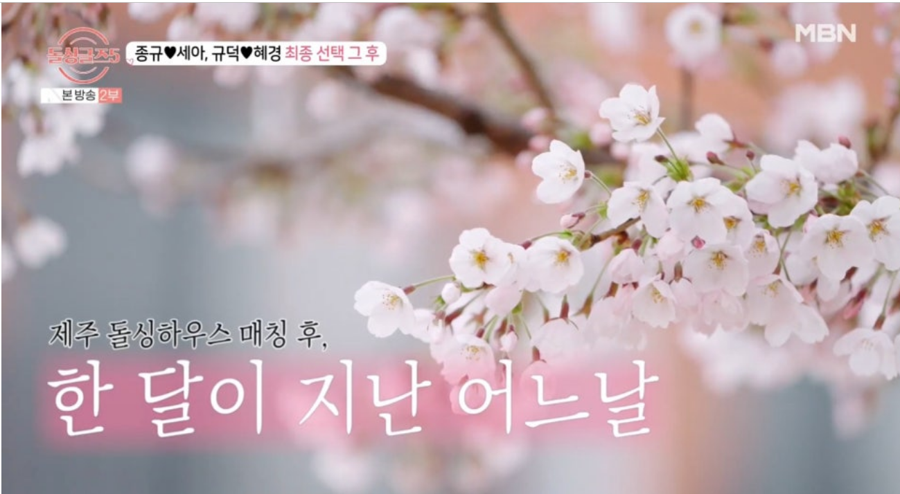 돌싱글즈 5 최종커플탄생