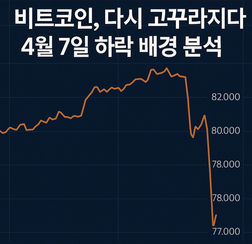 비트코인 하락 분석