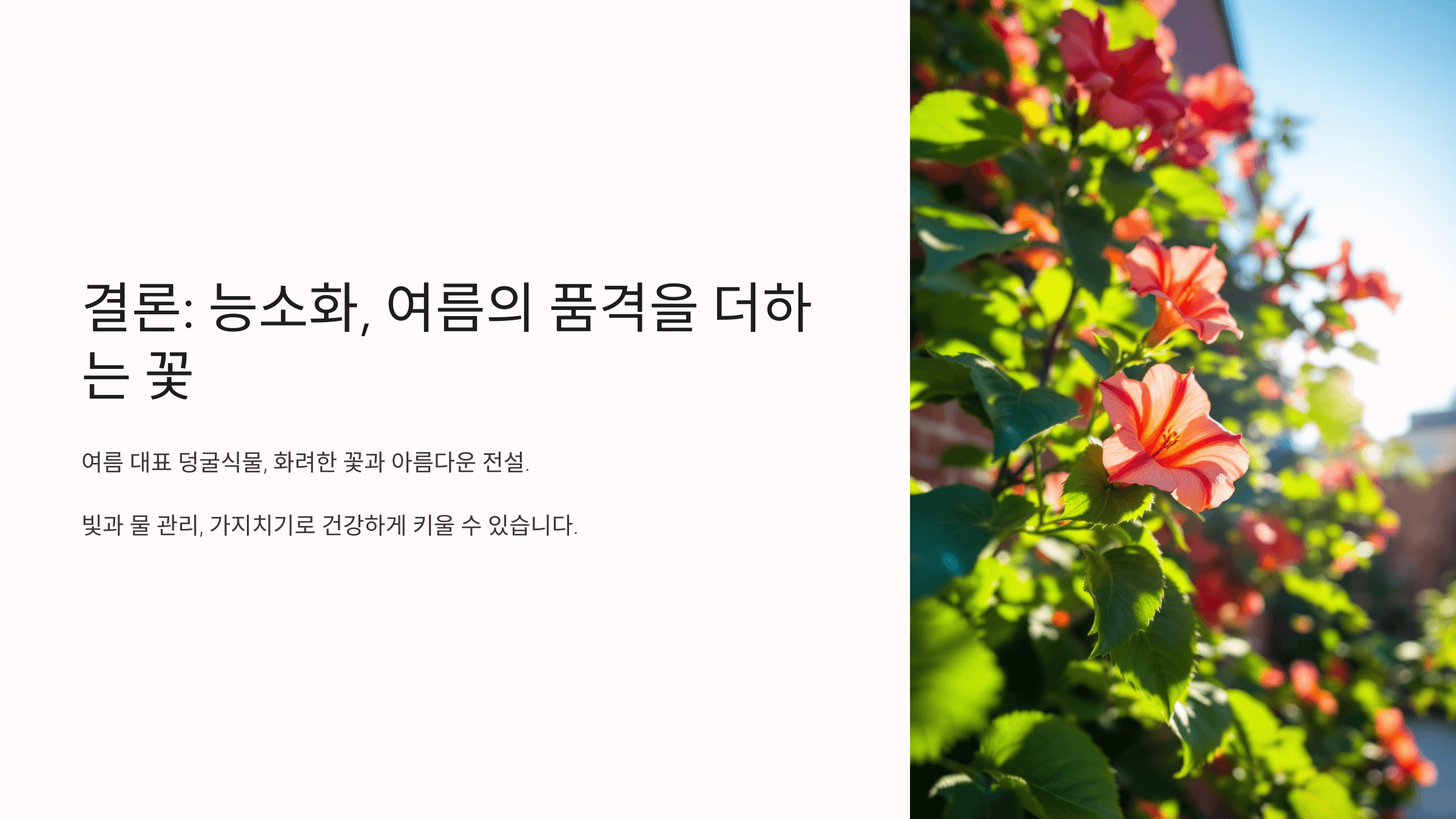 능소화 사진입니다.