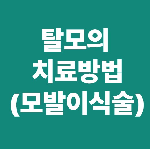 탈모의 치료방법-모발이식술