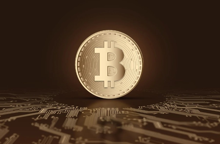 암호화폐관련 그림