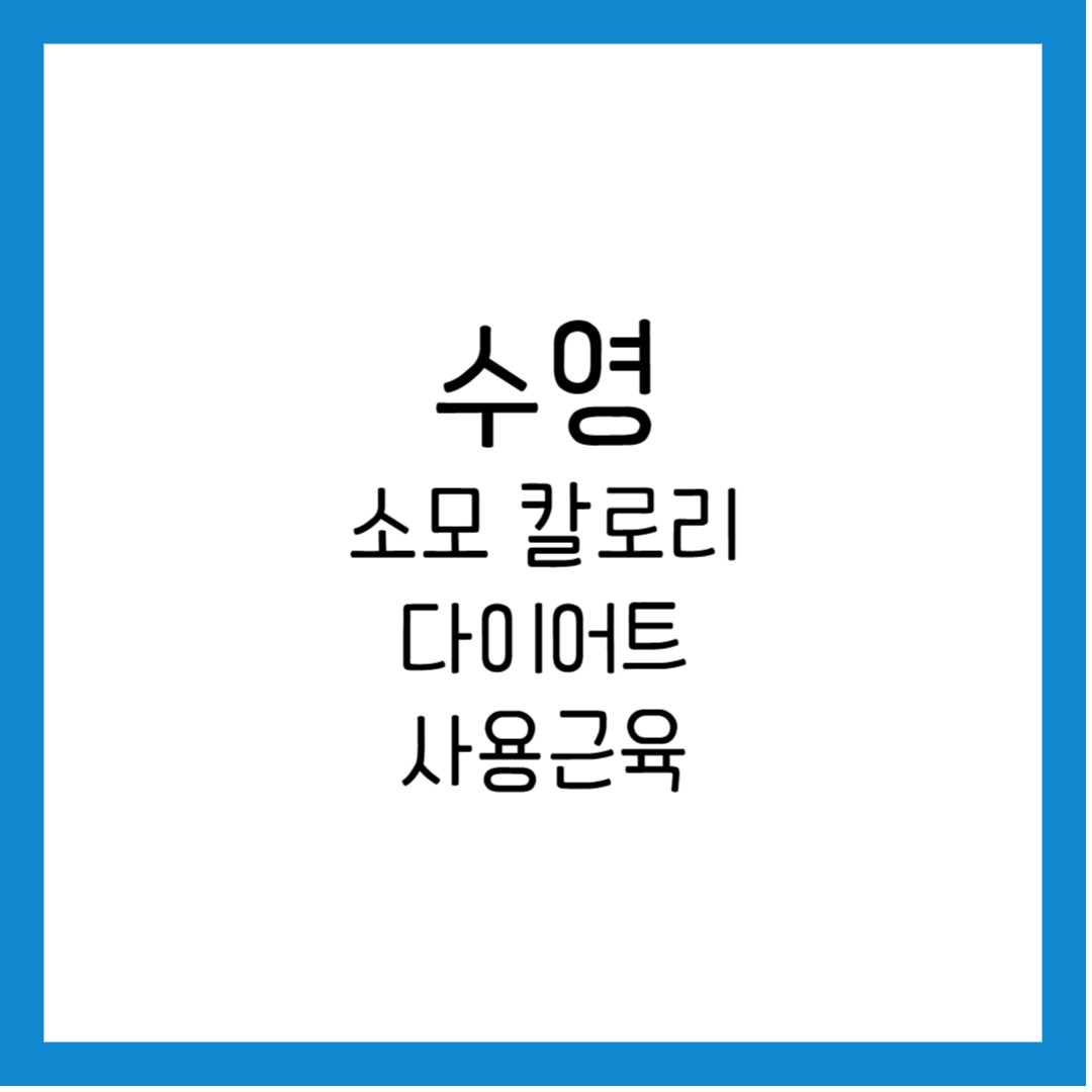 수영 소모 칼로리