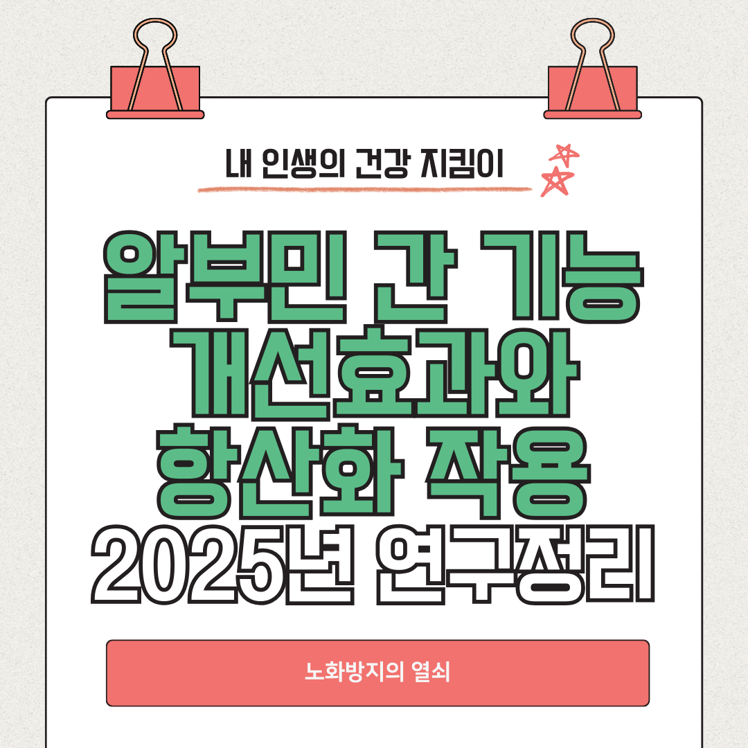 알부민 간 기능 개선 효과와 항산화 작용 2025 연구 정리 - 노화 방지의 열쇠