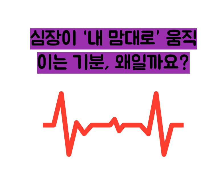 부정맥 증상