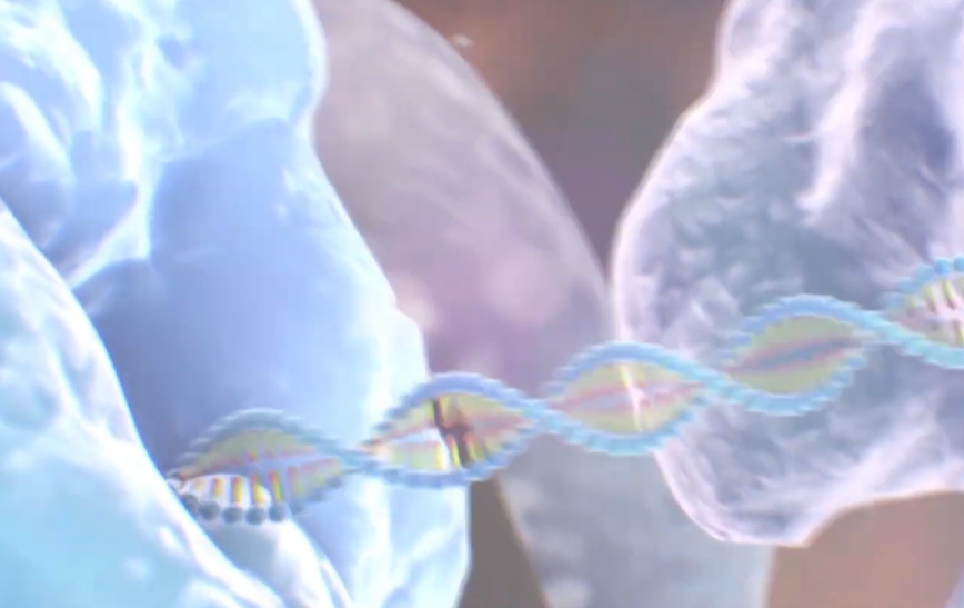 아시클로버 연고 효능