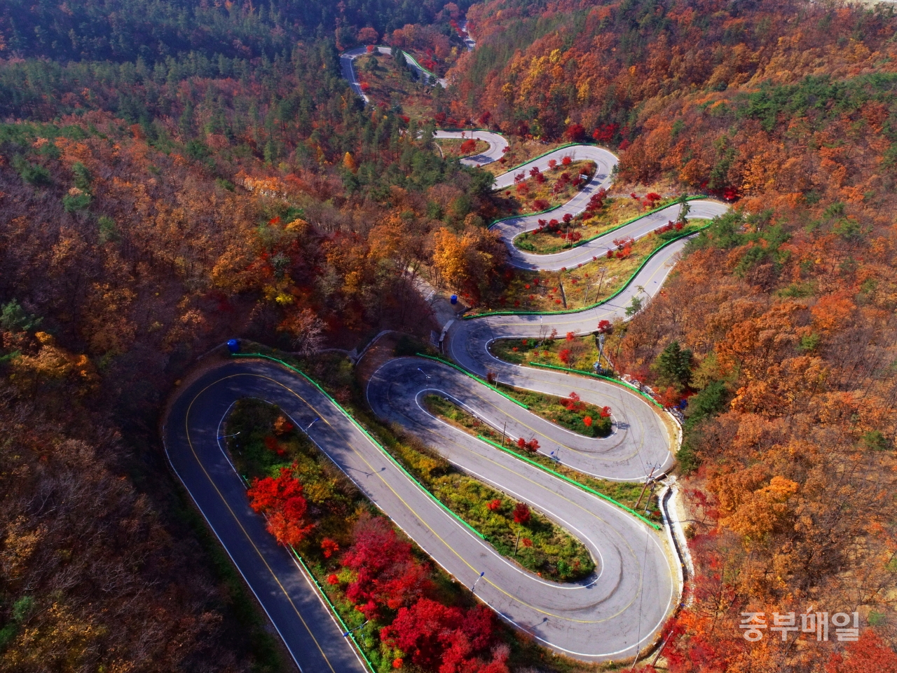 보은 가볼만한곳 베스트10