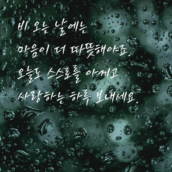 봄비 인사말 비오는 날 인사말 문구 이미지 모음