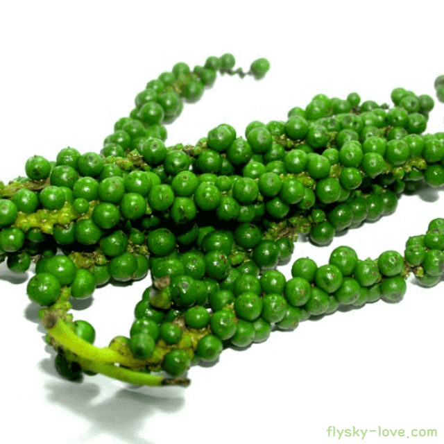 향신료의 왕 녹후추