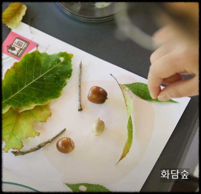 화담숲 예약 부터 입장료 단풍 절정시기까지